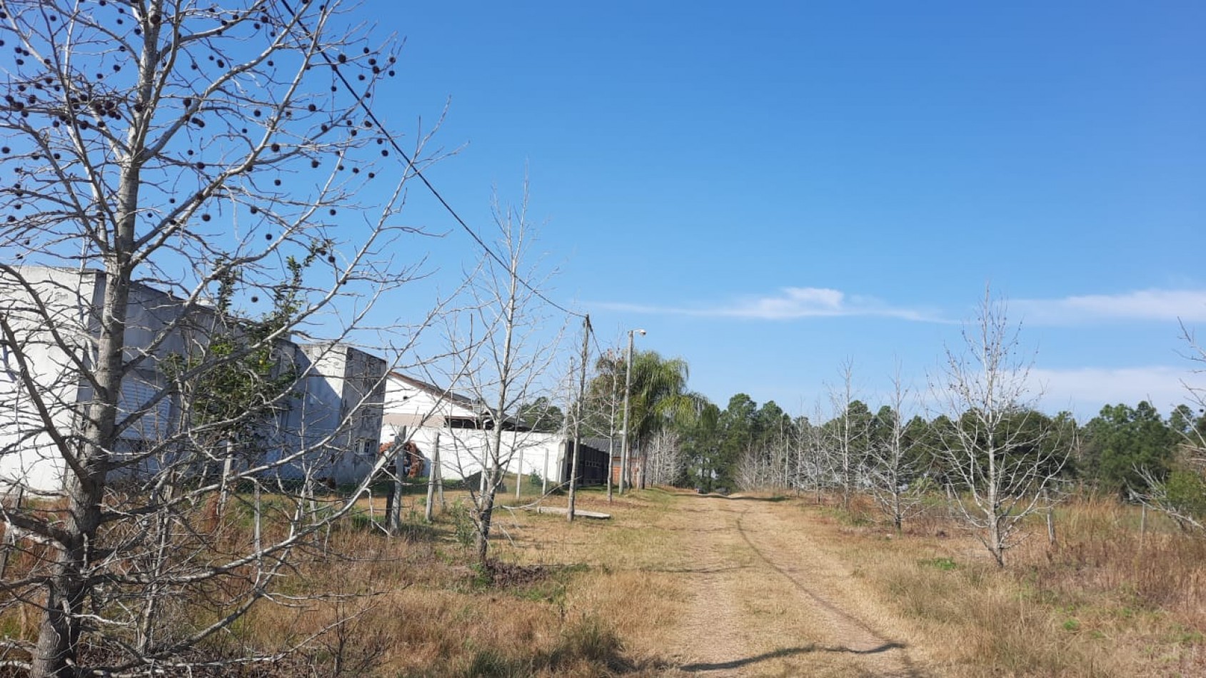 Lotes en Zona de Acceso a Federacion