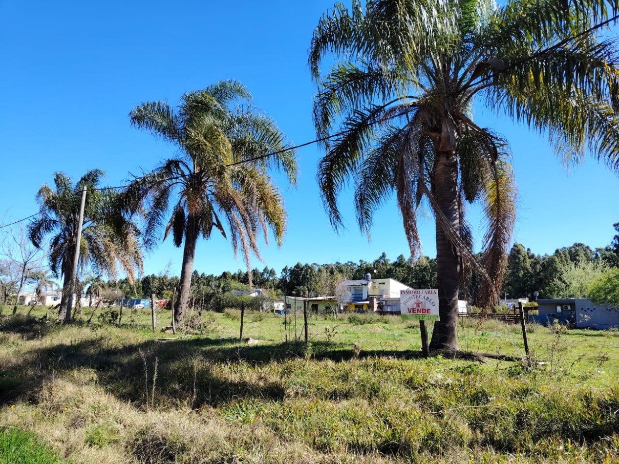 Terreno con electricidad y cloacas.