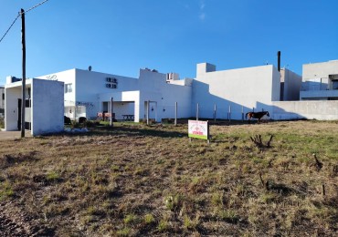 Zona de termas