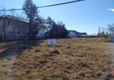 Zona Norte con electricidad y cloacas
